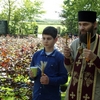 ჰოლანდია. 2014 წელი